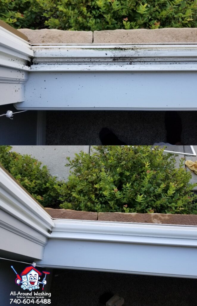 Window Cleaning All Around Washing LLC